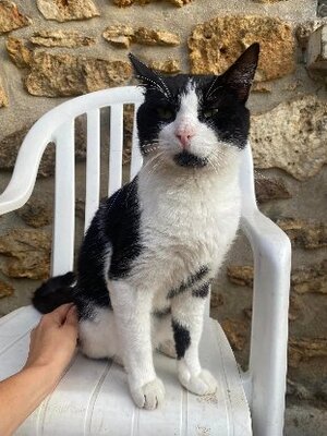 Adopter Roudoudou