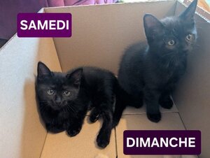 Adopter Samedi et dimanche
