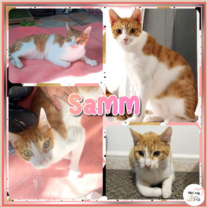 Adopter Sam