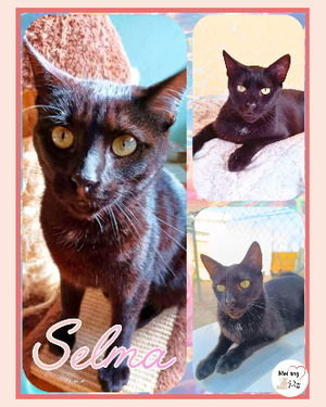 Adopter Selma