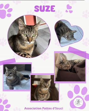 Adopter Suze