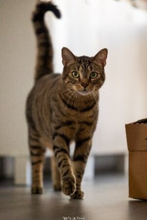 Adopter Thao