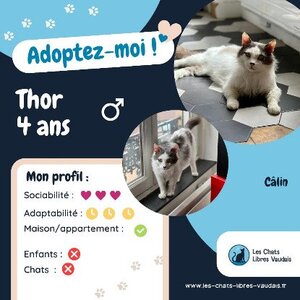 Adopter Thor