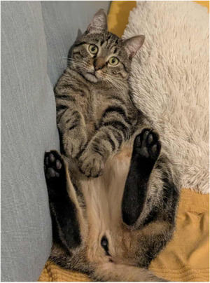 Adopter Trévor