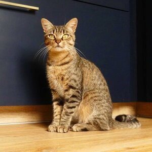 Adopter Twist