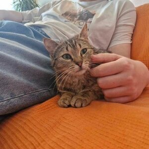 Adopter Udelali