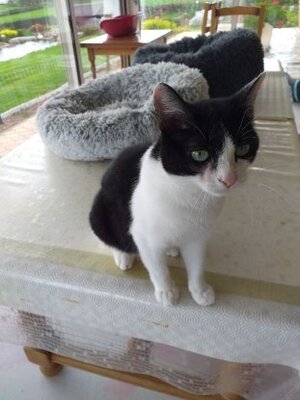 Adopter Vickie