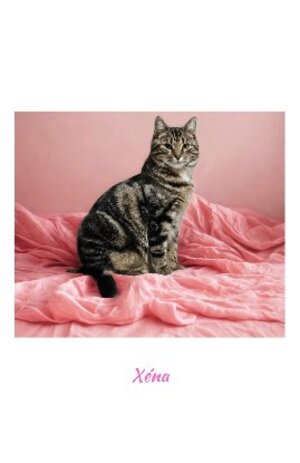 Adopter Xéna