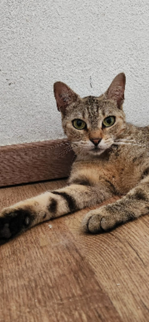Adopter Yuka