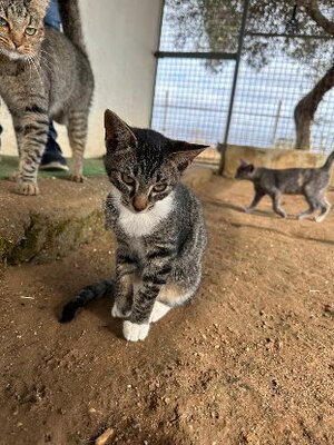 Adopter Yumi