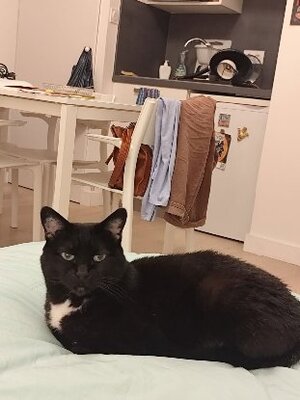 Adopter Yuna