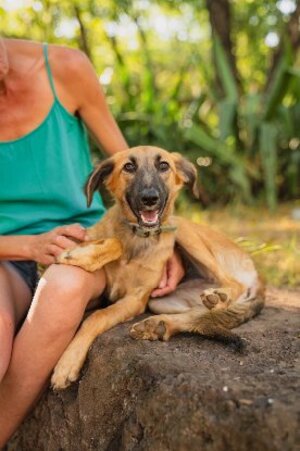 Adopter Armine