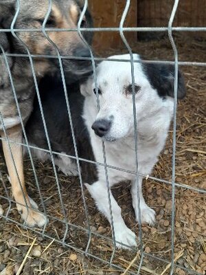 Adopter Athéna
