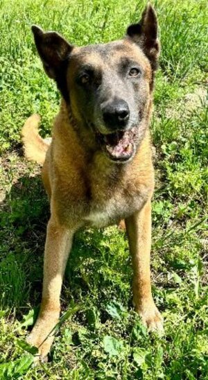 Adopter Atlas
