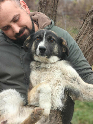 Adopter Ava