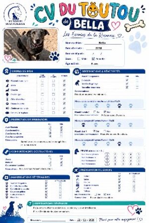 Adopter Bella