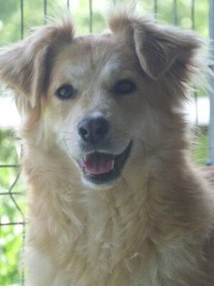Adopter Bercy