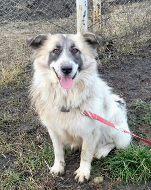 Adopter Beth