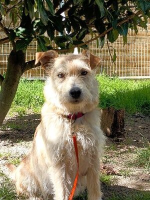 Adopter Bleuenn