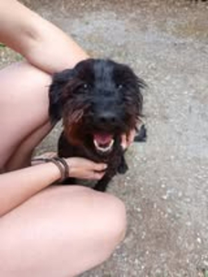 Adopter Bouba