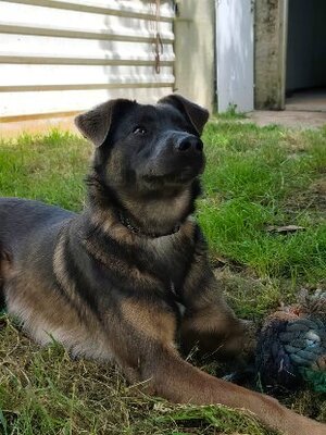 Adopter Byron