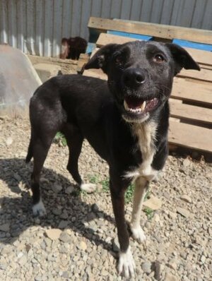 Adopter Caïpirihna