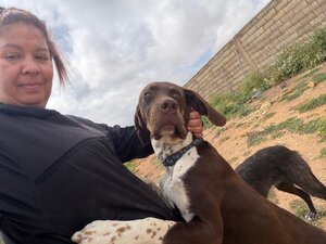 Adopter Chocolate