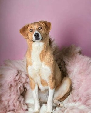 Adopter Délia