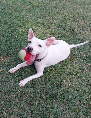 Adopter Emma