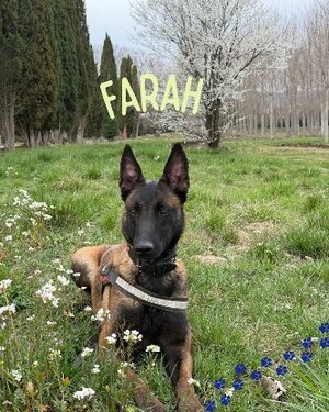 Adopter Farah
