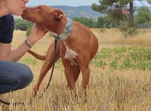 Adopter Futur