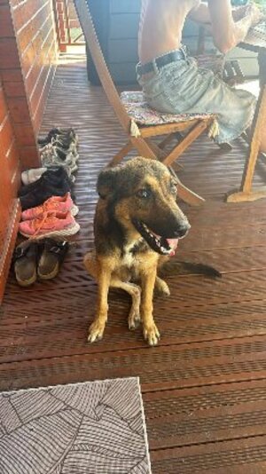 Adopter Gaïa