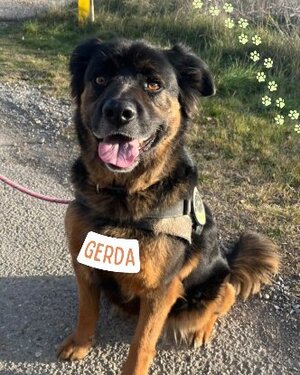 Adopter Gerda