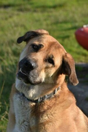Adopter Julietta