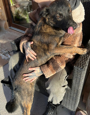Adopter Junior