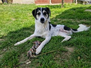 Adopter Karla