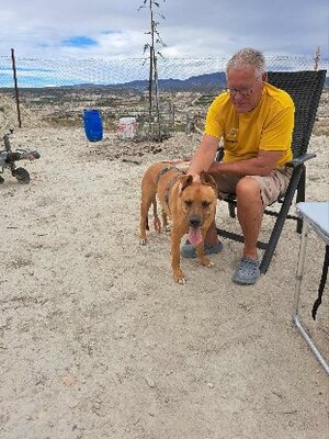 Adopter Karma