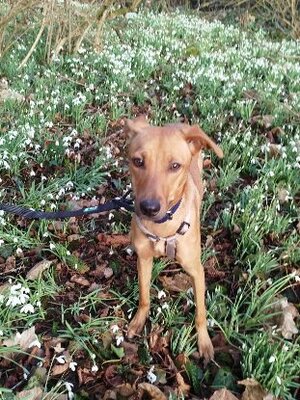 Adopter Kenza