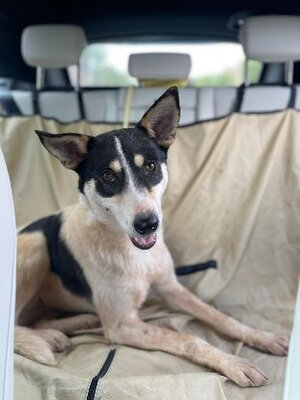 Adopter Kenza