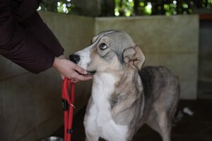 Adopter Keyla