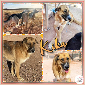 Adopter Kika