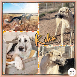 Adopter Kiko