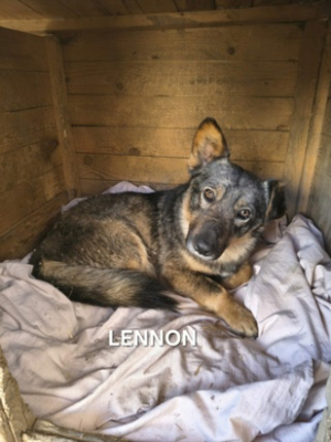 Adopter Lennon
