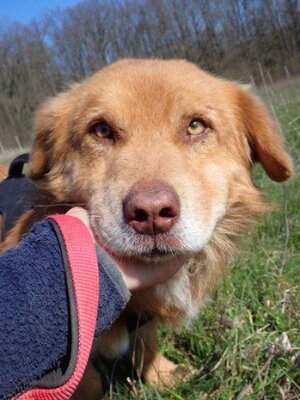 Adopter Lilian