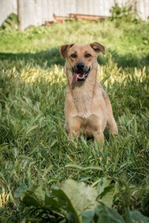 Adopter Lisa