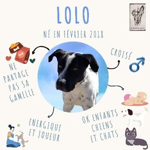 Adopter Lolo