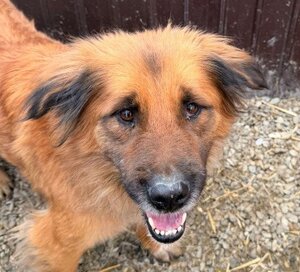 Adopter Loula