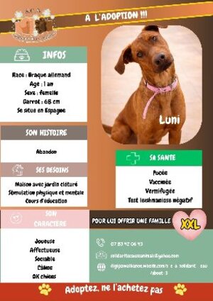 Adopter Luni