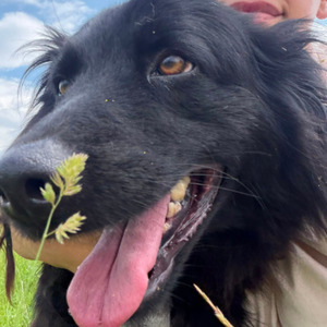 Adopter Lunna