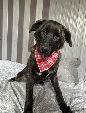 Adopter Madeline